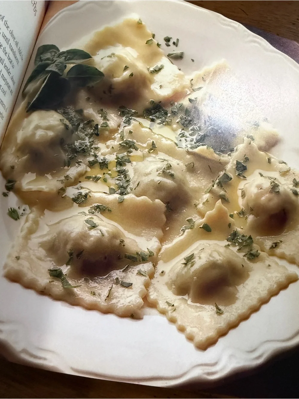 Williams Sonoma Pasta Cookbook - EUC